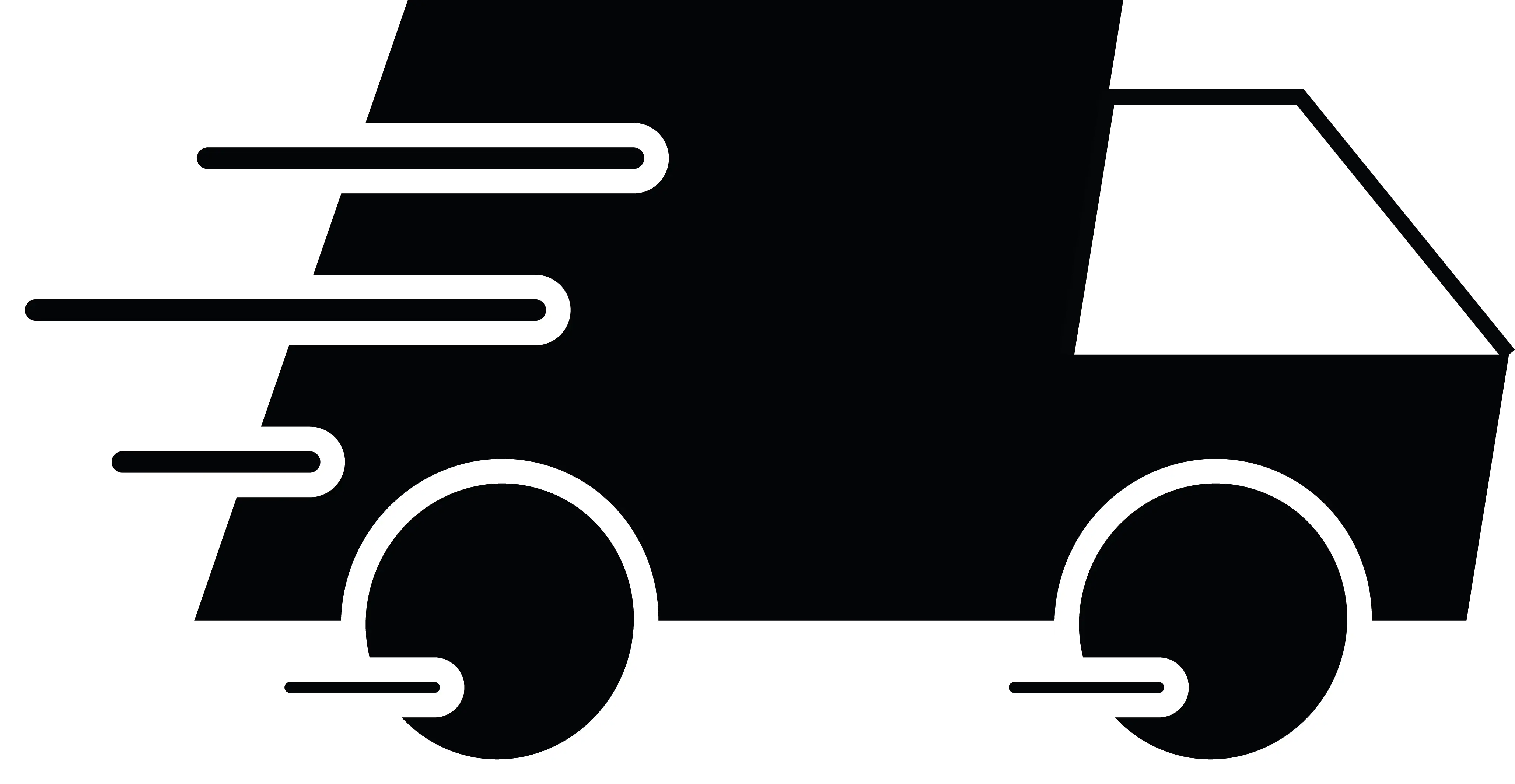 Express delivery · 2–4 working days