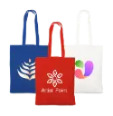 Jaipur - Every day Tote coloured  